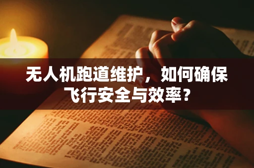 无人机跑道维护，如何确保飞行安全与效率？
