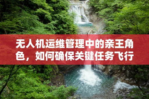 无人机运维管理中的亲王角色，如何确保关键任务飞行中的安全与效率？