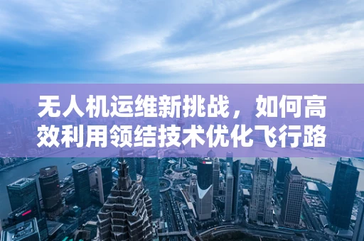 无人机运维新挑战，如何高效利用领结技术优化飞行路径？
