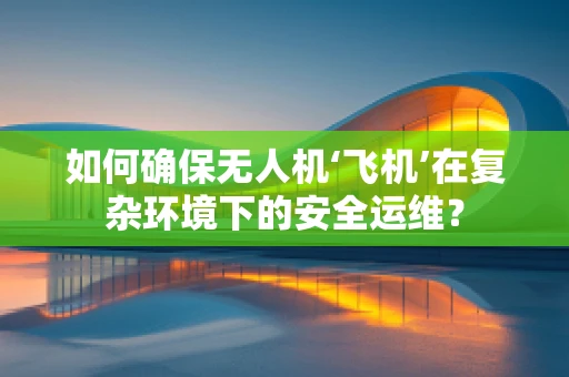 如何确保无人机‘飞机’在复杂环境下的安全运维？