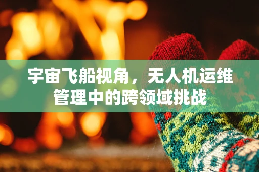宇宙飞船视角，无人机运维管理中的跨领域挑战