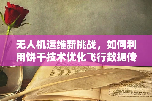 无人机运维新挑战，如何利用饼干技术优化飞行数据传输？