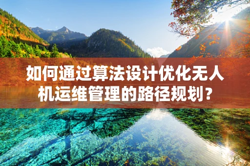 如何通过算法设计优化无人机运维管理的路径规划？