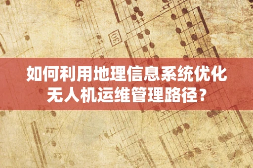 如何利用地理信息系统优化无人机运维管理路径？