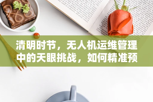 清明时节，无人机运维管理中的天眼挑战，如何精准预测天气变化？