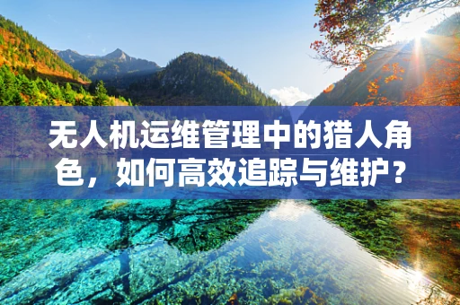 无人机运维管理中的猎人角色，如何高效追踪与维护？