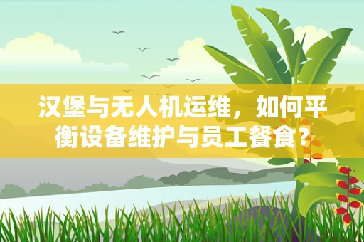 汉堡与无人机运维，如何平衡设备维护与员工餐食？