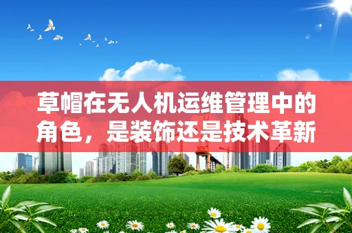 草帽在无人机运维管理中的角色，是装饰还是技术革新？