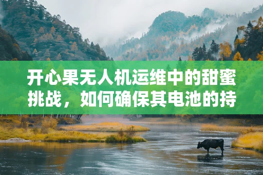 开心果无人机运维中的甜蜜挑战，如何确保其电池的持续‘欢笑’？