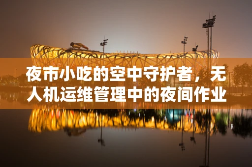 夜市小吃的空中守护者，无人机运维管理中的夜间作业挑战