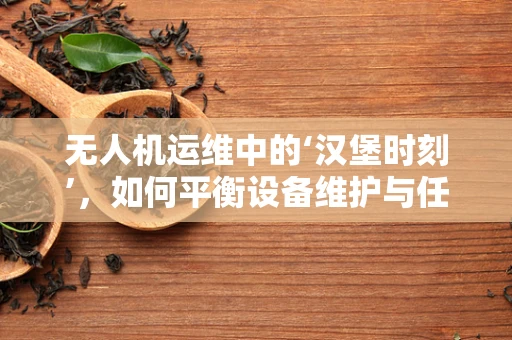 无人机运维中的‘汉堡时刻’，如何平衡设备维护与任务执行？