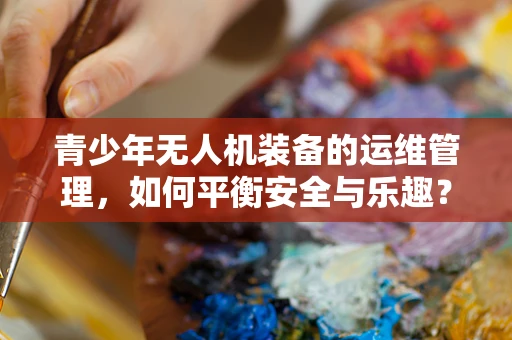 青少年无人机装备的运维管理，如何平衡安全与乐趣？