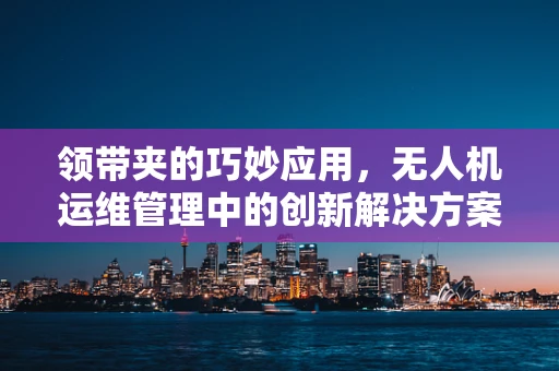 领带夹的巧妙应用，无人机运维管理中的创新解决方案？
