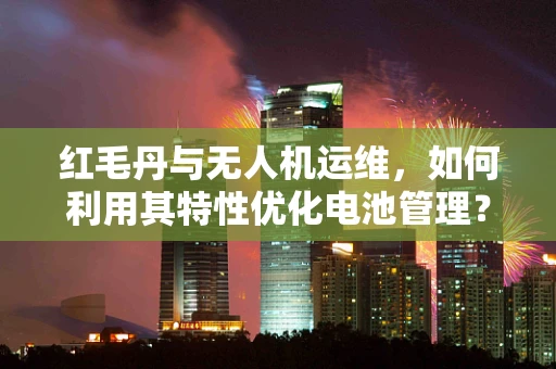 红毛丹与无人机运维，如何利用其特性优化电池管理？