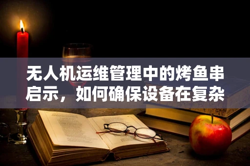 无人机运维管理中的烤鱼串启示，如何确保设备在复杂环境下的安全与效率？