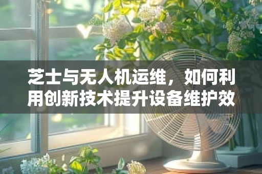 芝士与无人机运维，如何利用创新技术提升设备维护效率？