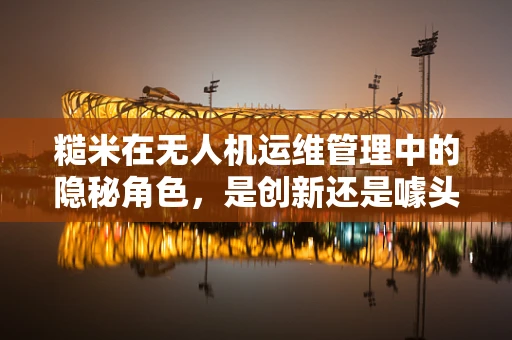 糙米在无人机运维管理中的隐秘角色，是创新还是噱头？