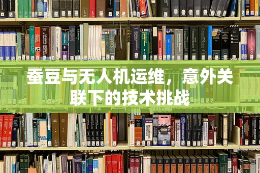 蚕豆与无人机运维，意外关联下的技术挑战