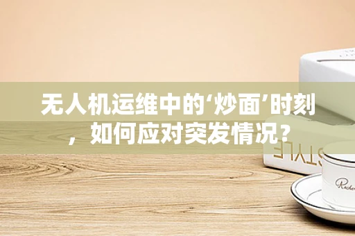无人机运维中的‘炒面’时刻，如何应对突发情况？
