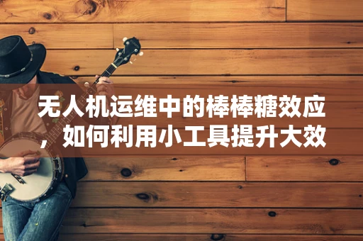 无人机运维中的棒棒糖效应，如何利用小工具提升大效率？