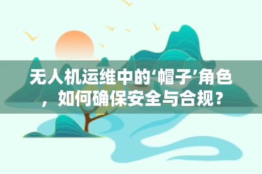 无人机运维中的‘帽子’角色，如何确保安全与合规？