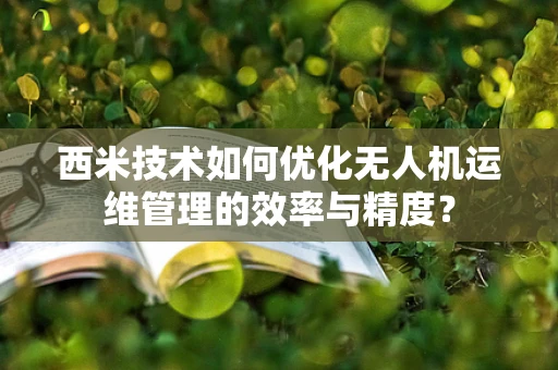 西米技术如何优化无人机运维管理的效率与精度？
