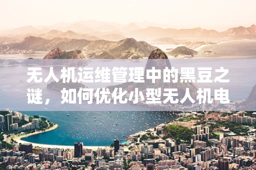无人机运维管理中的黑豆之谜，如何优化小型无人机电池管理？