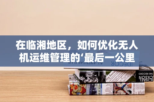 在临湘地区，如何优化无人机运维管理的‘最后一公里’？