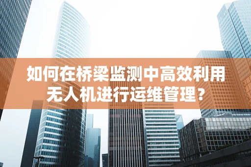 如何在桥梁监测中高效利用无人机进行运维管理？