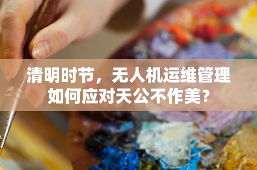 清明时节，无人机运维管理如何应对天公不作美？