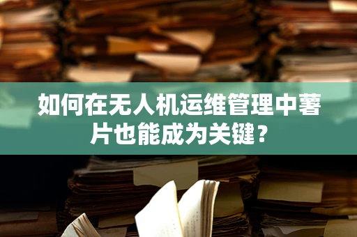 如何在无人机运维管理中薯片也能成为关键？
