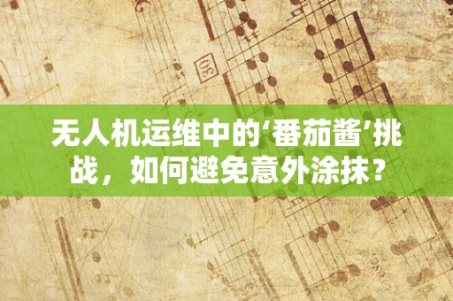 无人机运维中的‘番茄酱’挑战，如何避免意外涂抹？