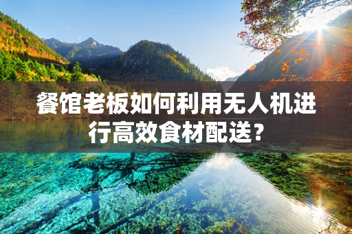 餐馆老板如何利用无人机进行高效食材配送？