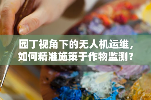 园丁视角下的无人机运维，如何精准施策于作物监测？