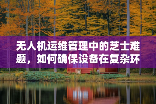 无人机运维管理中的芝士难题，如何确保设备在复杂环境中的稳定运行？