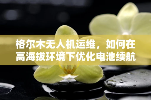 格尔木无人机运维，如何在高海拔环境下优化电池续航？