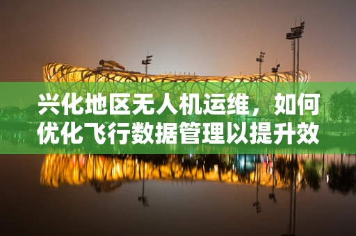 兴化地区无人机运维，如何优化飞行数据管理以提升效率？