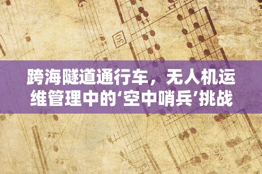 跨海隧道通行车，无人机运维管理中的‘空中哨兵’挑战