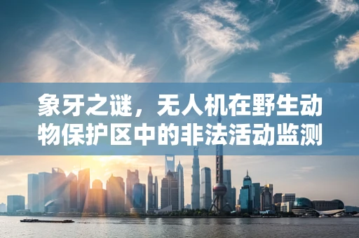 象牙之谜，无人机在野生动物保护区中的非法活动监测