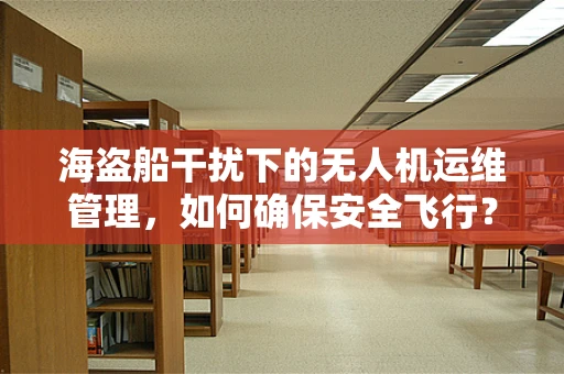 海盗船干扰下的无人机运维管理，如何确保安全飞行？