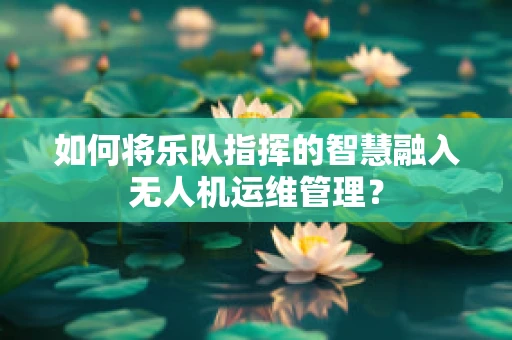 如何将乐队指挥的智慧融入无人机运维管理？
