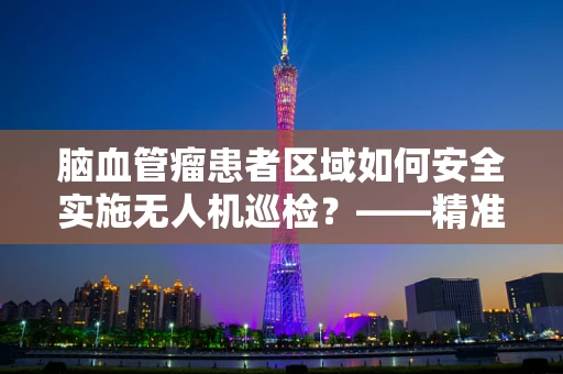 脑血管瘤患者区域如何安全实施无人机巡检？——精准定位与隐私保护的挑战
