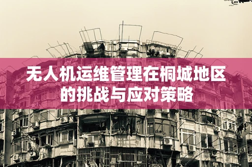 无人机运维管理在桐城地区的挑战与应对策略