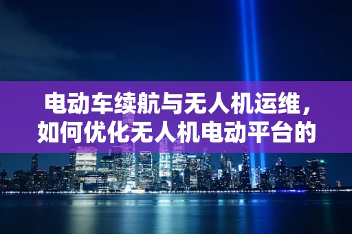电动车续航与无人机运维，如何优化无人机电动平台的维护策略？