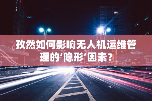 孜然如何影响无人机运维管理的‘隐形’因素？