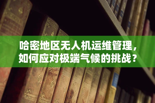 哈密地区无人机运维管理，如何应对极端气候的挑战？