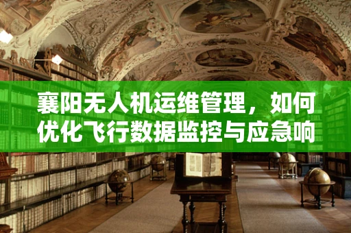 襄阳无人机运维管理，如何优化飞行数据监控与应急响应？
