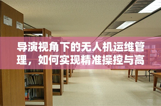 导演视角下的无人机运维管理，如何实现精准操控与高效调度？