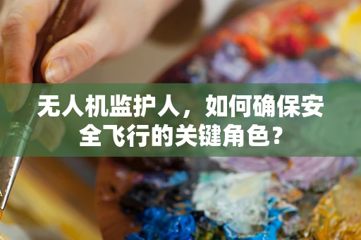 无人机监护人，如何确保安全飞行的关键角色？