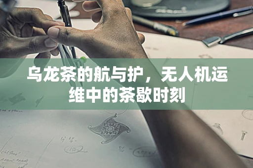 乌龙茶的航与护，无人机运维中的茶歇时刻